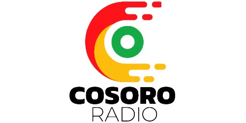 Partner 6